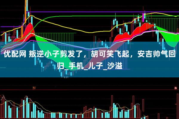 优配网 叛逆小子剪发了，胡可笑飞起，安吉帅气回归_手机_儿子_沙溢
