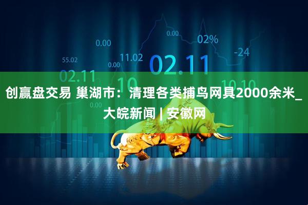 创赢盘交易 巢湖市：清理各类捕鸟网具2000余米_大皖新闻 | 安徽网
