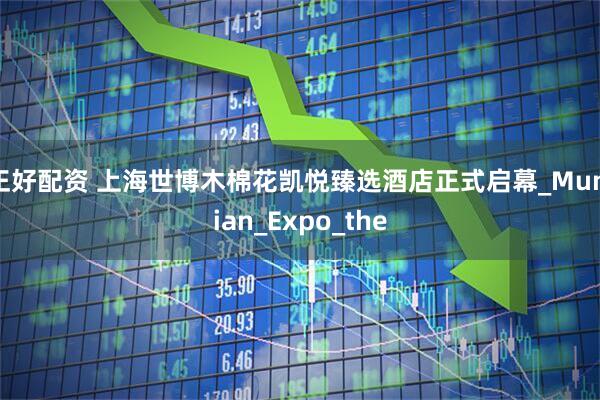 正好配资 上海世博木棉花凯悦臻选酒店正式启幕_Mumian_Expo_the