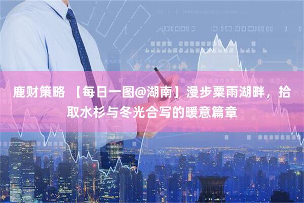 鹿财策略 【每日一图@湖南】漫步粟雨湖畔，拾取水杉与冬光合写的暖意篇章