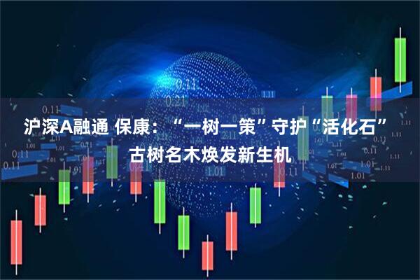 沪深A融通 保康：“一树一策”守护“活化石” 古树名木焕发新生机