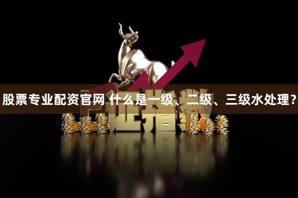 股票专业配资官网 什么是一级、二级、三级水处理？
