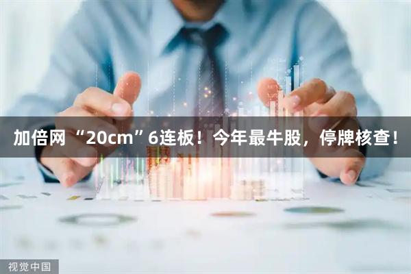 加倍网 “20cm”6连板！今年最牛股，停牌核查！