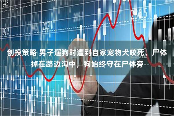 创投策略 男子遛狗时遭到自家宠物犬咬死，尸体掉在路边沟中，狗始终守在尸体旁